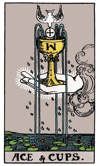 Ace of Cups Tarot Card